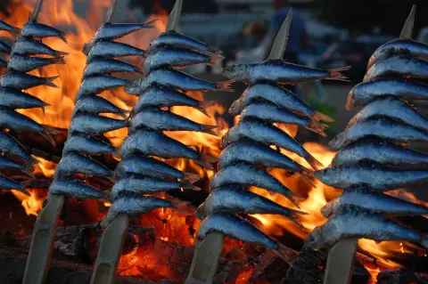 Sardines typiques de Malaga embrochées sur un bâton et grillées sur un feu ouvert
